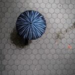 2025年开奖今晚揭晓,万众瞩目期待大奖花落谁家 0w76cp