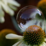 2025年最新开奖挂牌记录完整版查询 2d9rxbv841