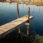 2025年最新官方独家码开奖全程记录查询 3djhnaa5