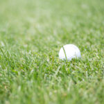 2025年开奖结果67期完整号码与走势分析 994965