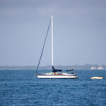 2025年最新3D开奖走势图全面分析与预测 b629p02y2a