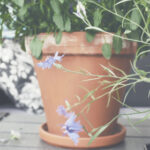 2025年开快开奖结果最新公布与查询指南 gr3lq