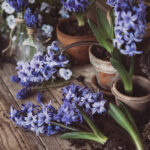 2025年最新开奖纪录完整版查询与汇总 h78kidhz5i