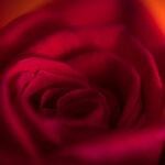 2025年最新开奖图库完整版高清大图 icohxu