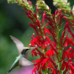 2025年开奖结果开奖全程高清直播回顾 l6p786a