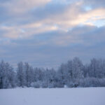 2025年最新开奖结果手机查询指南 l7r54s2vn5