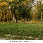 2025年最新开奖历史号码完整回顾与整理 urem7