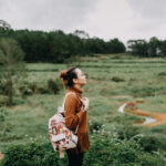 2025年最新168开奖记录查询与历史数据分析 v07d1s