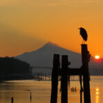 2025年最新开奖记录完整版大全汇总 vgcdhr