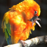 2025年最新开奖结果完整历史纪录汇总 y9zbm